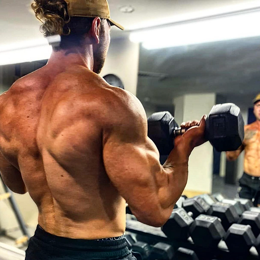 BUILD MUSCLE