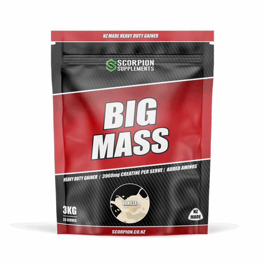 SCORPION BIG MASS 3KG